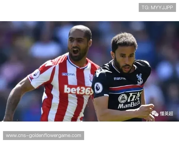 巴黎FC保级前景分析：升班马如何依靠青训造血维持竞争力