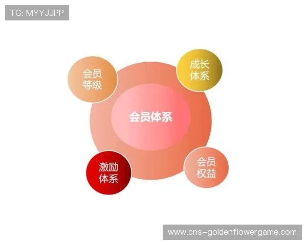 会员服务体系增值内容开发，提升用户终身价值