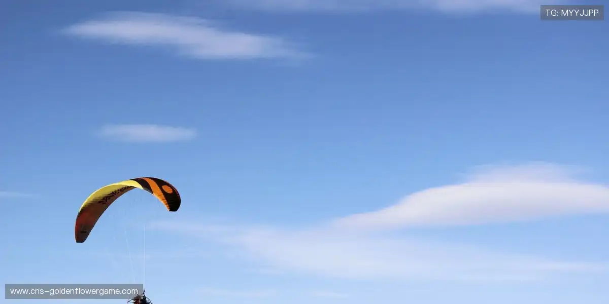 🎉粉丝狂欢夜，一起为主队高声呐喊！🔥